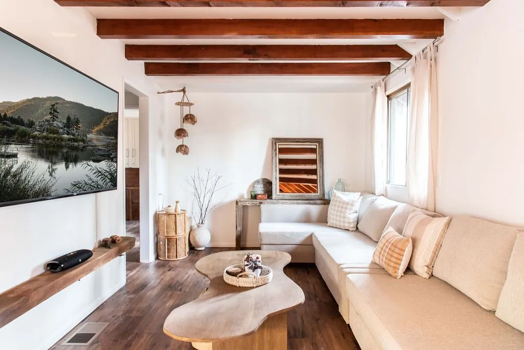 Two seating zones with separate area rugs in a narrow living room